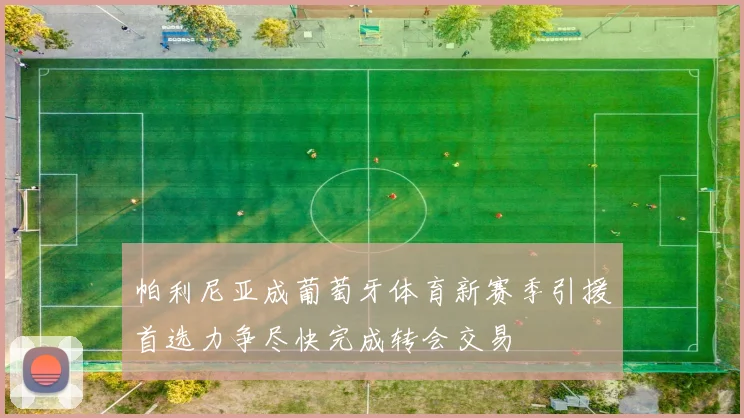 帕利尼亚成葡萄牙体育新赛季引援首选力争尽快完成转会交易
