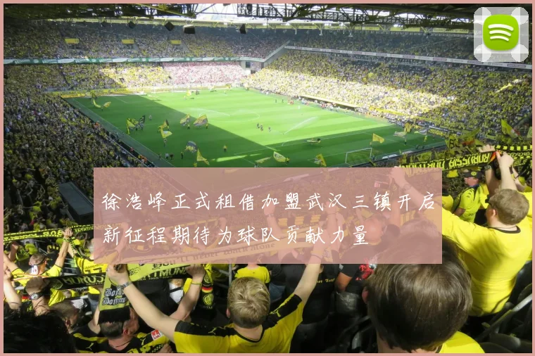 徐浩峰正式租借加盟武汉三镇开启新征程期待为球队贡献力量